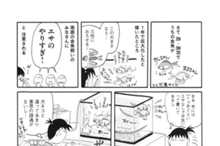 第２６２羽 표지