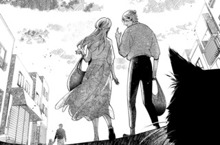 かりずまいメイストーム（３） 표지