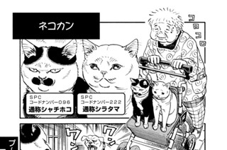 プ～ねこ（１５９） ネコカン 표지