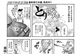 第８７５羽 표지