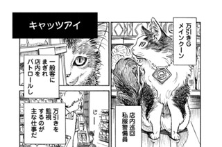 プ～ねこ（１７８） キャッツアイ 표지