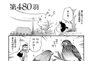 第４８０羽 표지