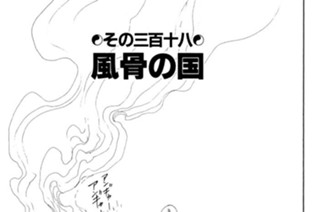 その三百十八 風骨の国 표지