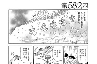 第５８２羽 표지