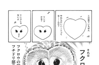 第３１６羽 표지