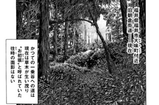 ＶＯＬ．１１８ 一乗谷に栄華を 표지