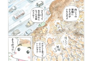 29화 最終話「再会、そして・・・・」 표지