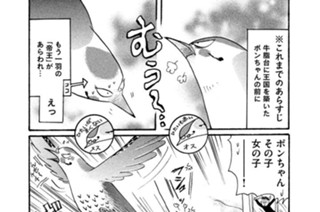 第４７７羽 표지