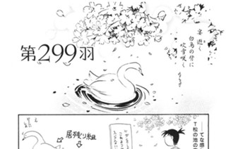 第２９９羽 표지