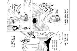 第４５１羽 표지
