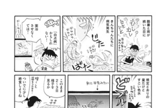 第２６４羽 표지