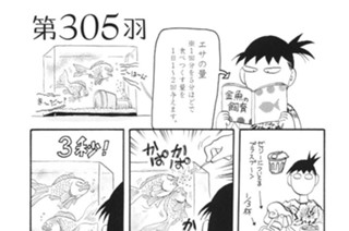 第３０５羽 표지