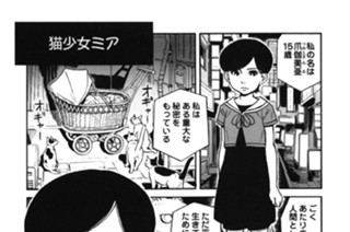 プ〜ねこ（４４） 표지
