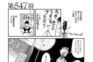 第５４７羽 표지