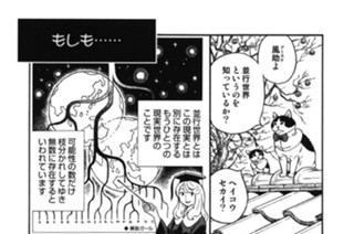 プ〜ねこ（７２） 표지
