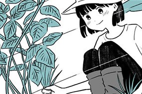 第１１話 ベリーでナイスな初日 표지