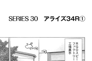 ＳＥＲＩＥＳ３０ アライズ３４Ｒ 표지