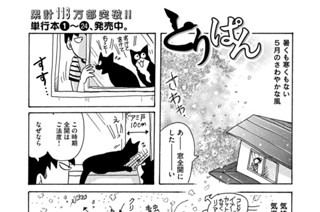 第６８４羽 표지