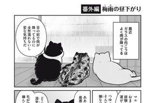 46화 番外編23 표지