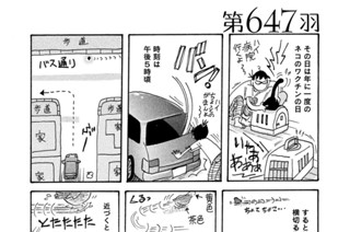 第６４７羽 표지
