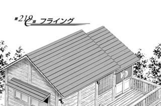 第２１９話 フライング 표지