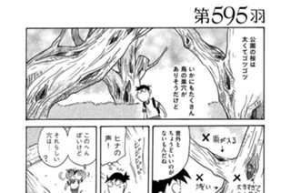 第５９５羽 표지
