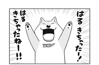 12화 １２ｔｈ Ｂａｒｋｉｎｇ：Ｓｐｒｉｎｇ！ 표지