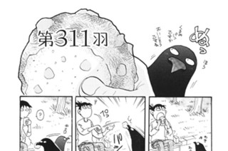 第３１１羽 표지