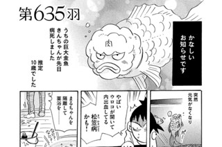 第６３５羽 표지