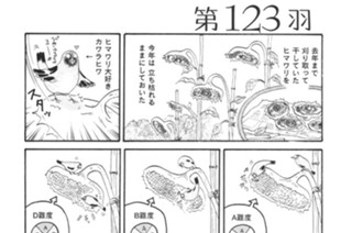 第１２３羽 표지