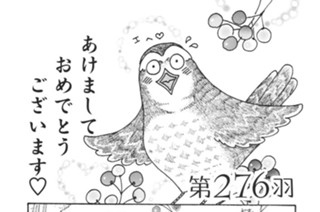 第２７６羽 표지