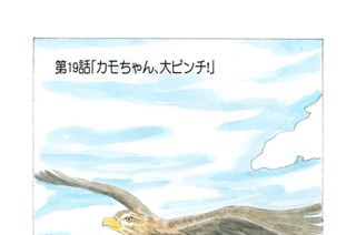 第１９話 「カモちゃん、大ピンチ！」 표지