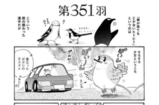 第３５１羽 표지