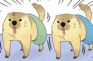 第８話 うさカメパワー 표지