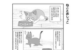 第21話 표지