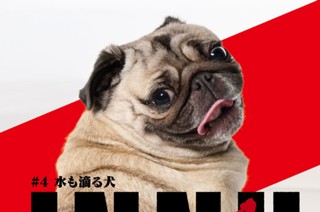 ＃４ 水も滴る犬 표지