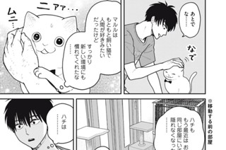 62화 番外編29 표지