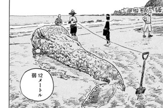 34화 ３１ 猫と鯨 표지