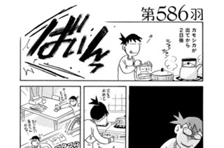 第５８６羽 표지