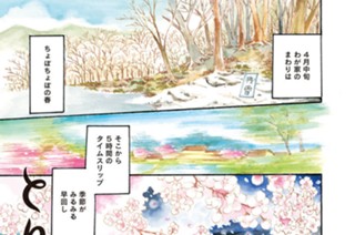 第４３３羽 표지