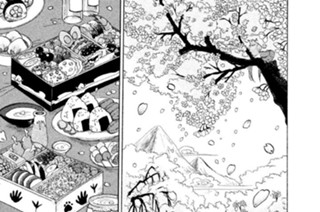 第１６５話 花咲前線（はなさかぜんせん） 표지