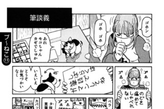 プ〜ねこ（１１） 표지