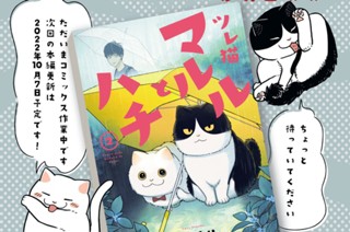 単行本発売のお知らせ 표지