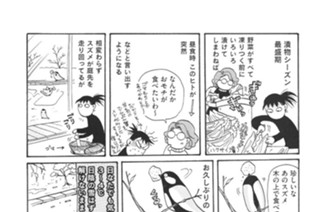 第３５羽 표지