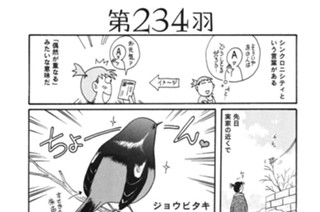 第２３４羽 표지