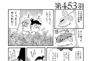 第４５３羽 표지