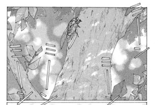 第８０話 謎の花火 표지