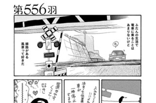 第５５６羽 표지