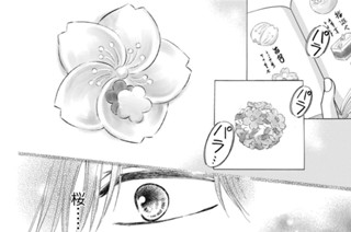 147화 新婚編ー千代の春ー 第１話（２） 표지