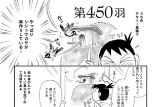 第４５０羽 표지